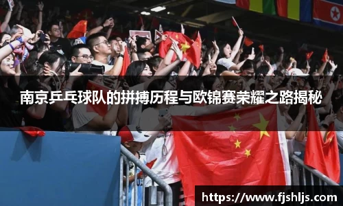 南京乒乓球队的拼搏历程与欧锦赛荣耀之路揭秘